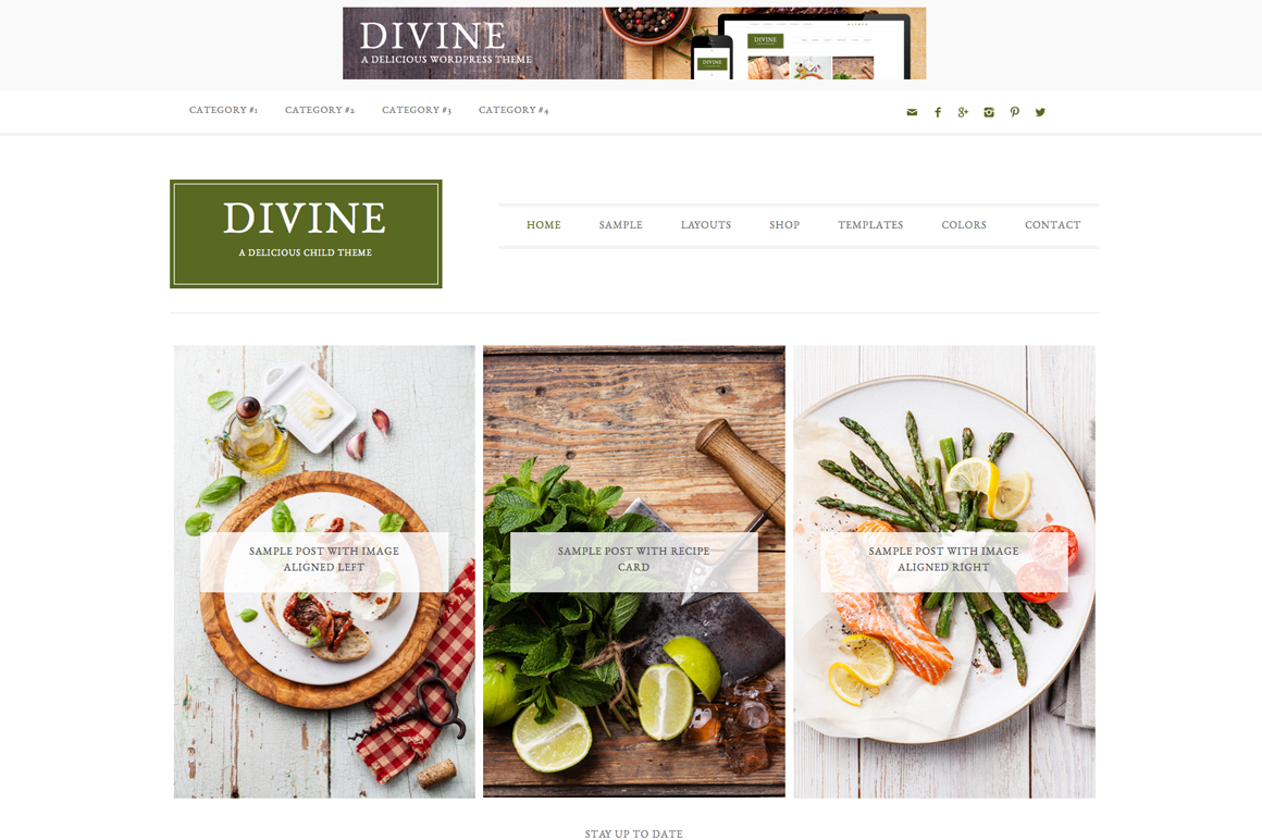 Divine WordPress blog theme