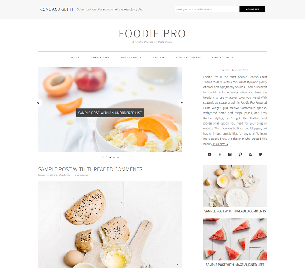 Foodie Pro Theme