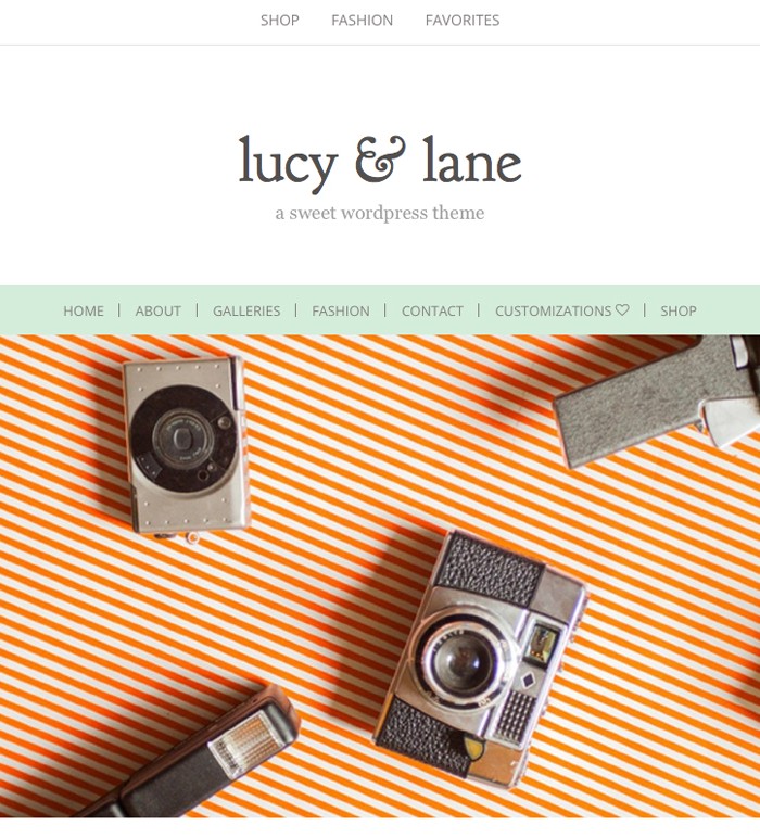 Lucy & Lane WordPress blog theme