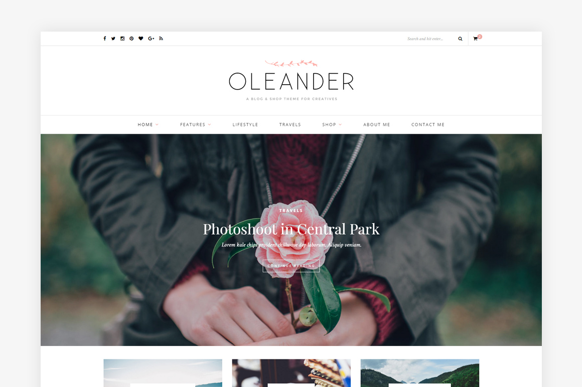 Oleander WordPress blog theme